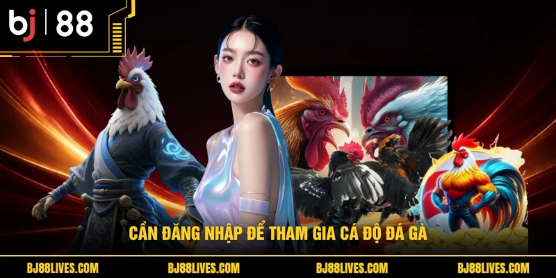 Cần đăng nhập để tham gia cá độ đá gà