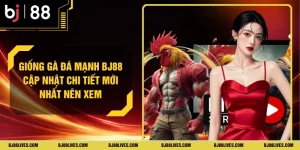 Giống Gà Đá Mạnh BJ88 Cập Nhật Chi Tiết Mới Nhất Nên Xem